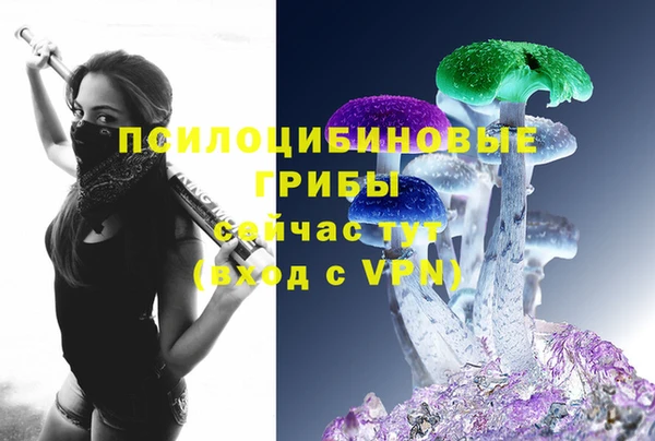 эйфоретик Алзамай